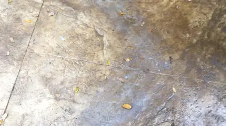 Stamped Concrete