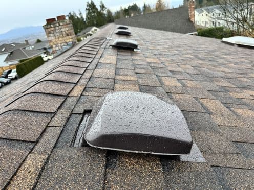 Roof 1