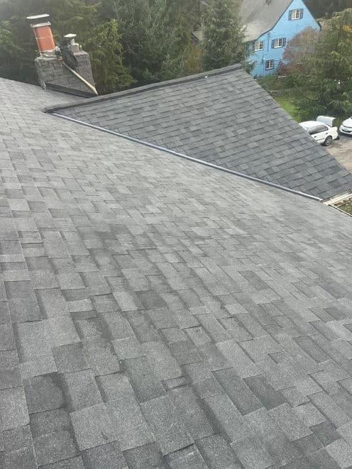 Roof 3