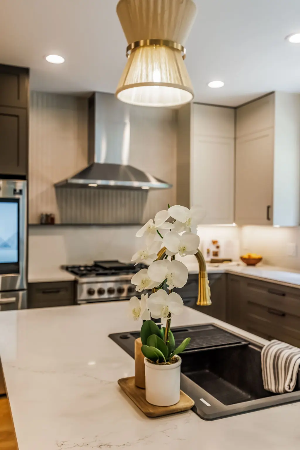 Netzer Project – Snoqualmie, WA – Kitchen Remodel 7