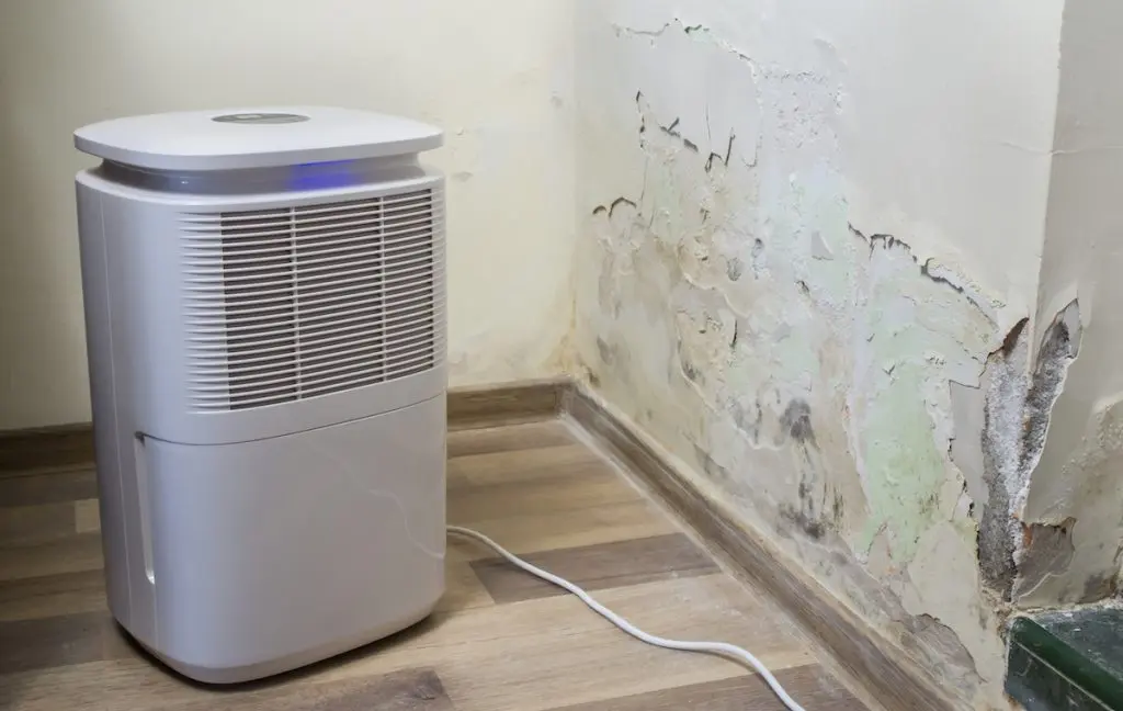 Home dehumidifier next to damaged wall