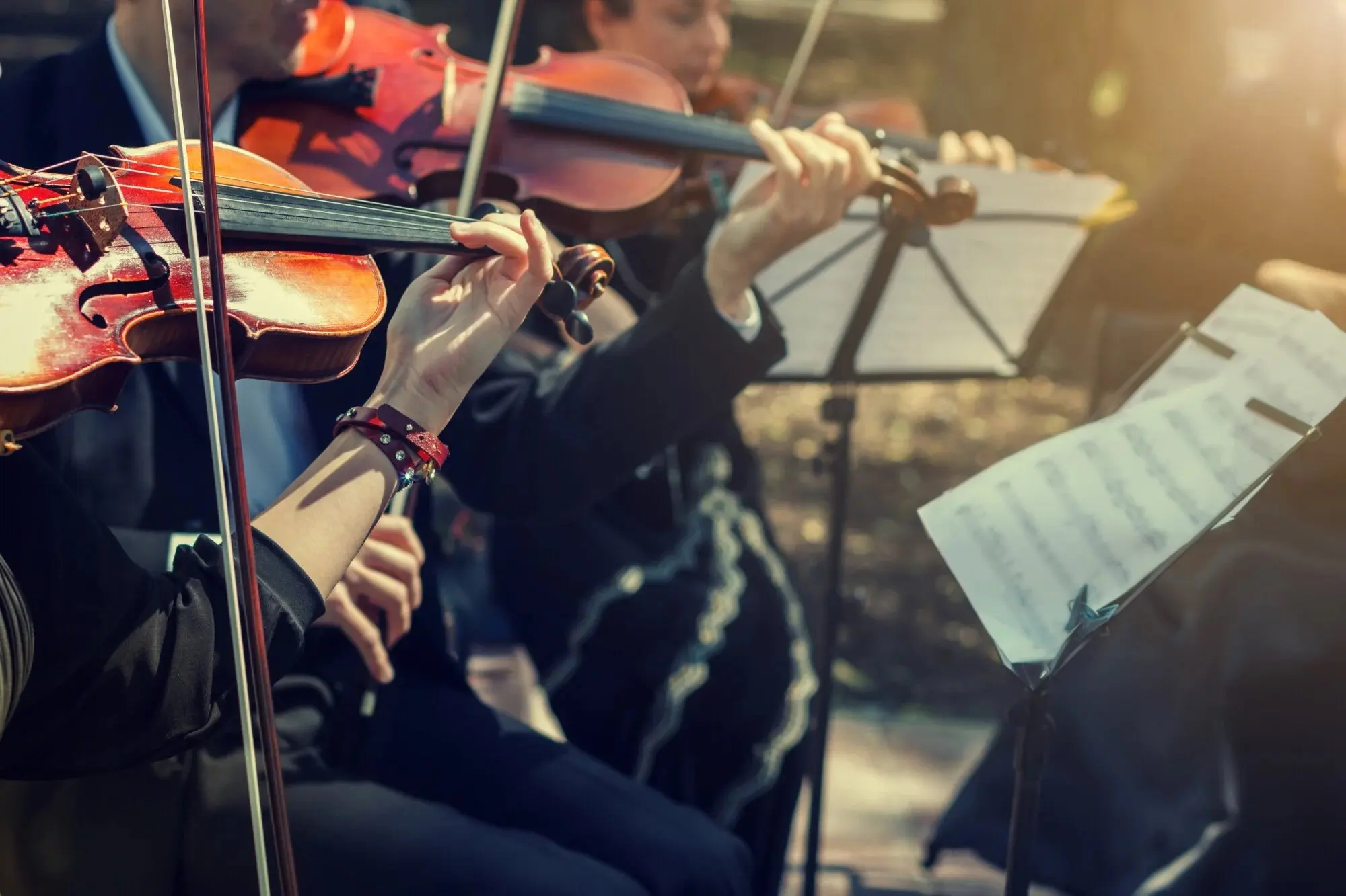 Violin Lessons Benefits