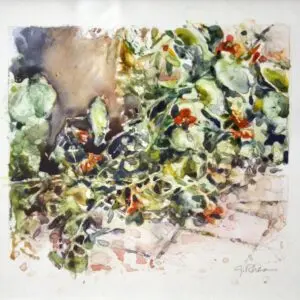 Nasturtiums I