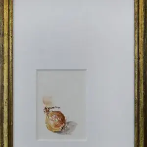 Shallot