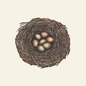 Shrike Nest - Jill Bedgood