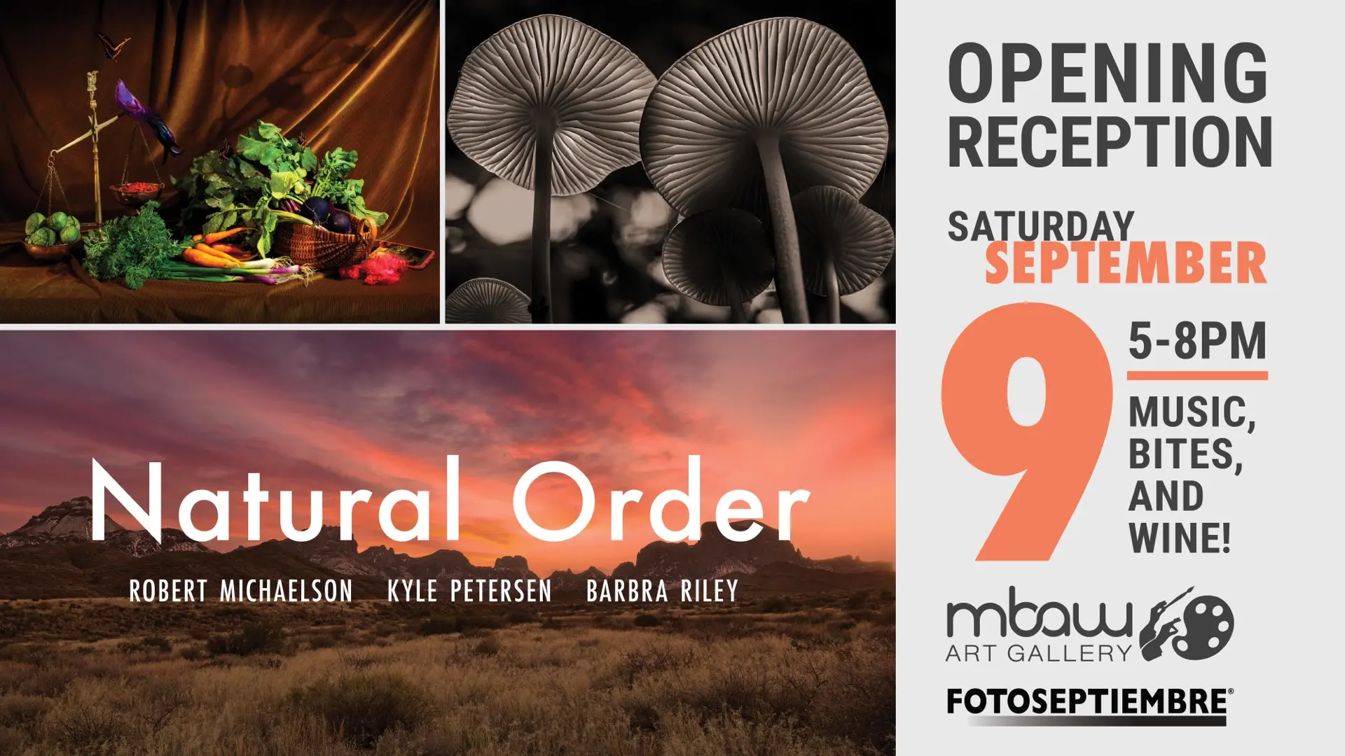 Natural Order (Opening Reception) – MBAW Art Gallery