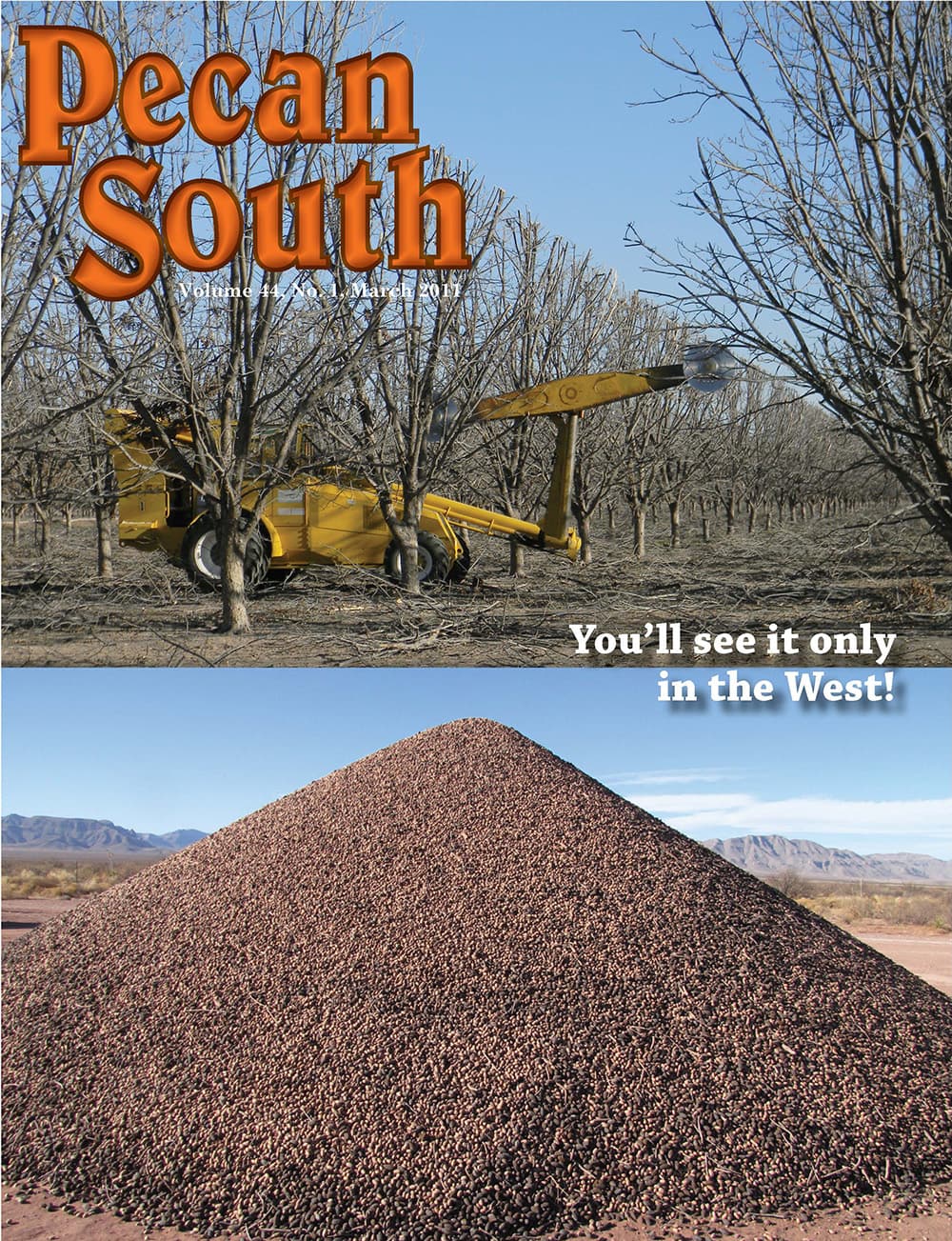 Issue Cover