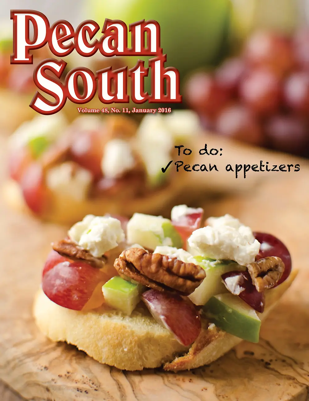 Issue Cover