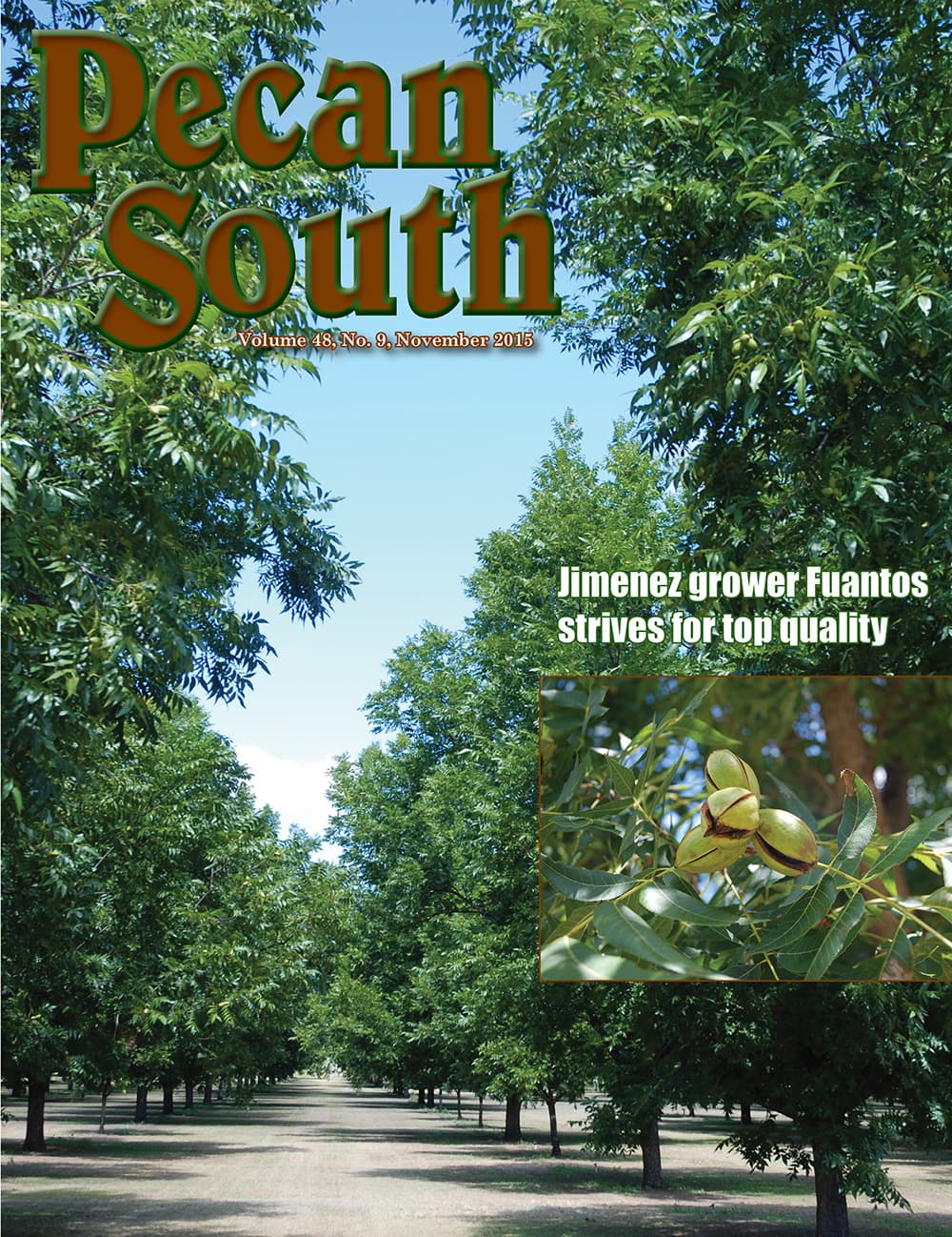 Issue Cover