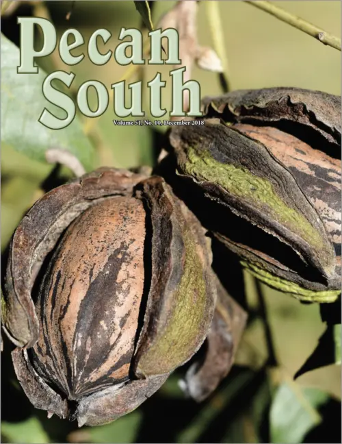Issue Cover