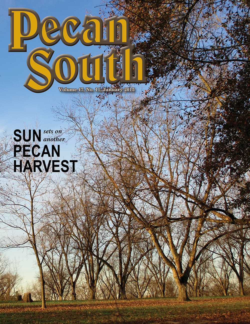 Issue Cover
