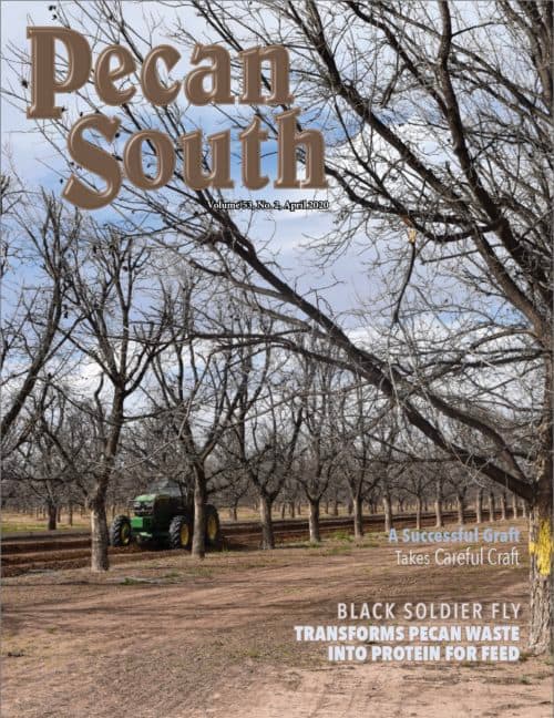Issue Cover