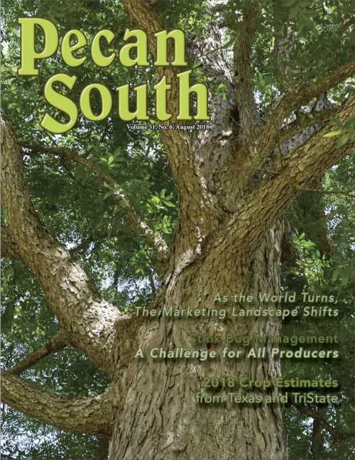 Issue Cover