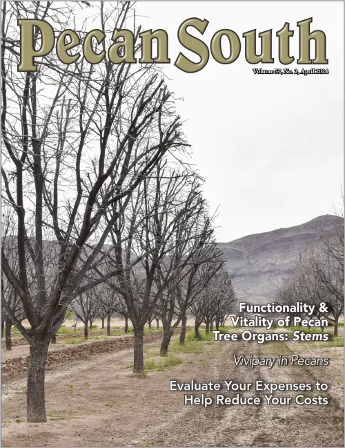 Issue Cover