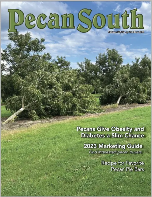 Issue Cover