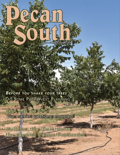 Issue Cover