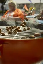 Pecan Tailgate Campaign from the American Pecan Promotion board.