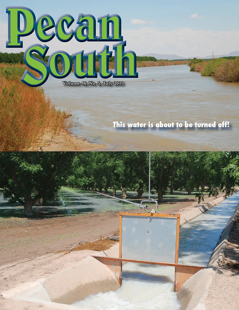 Issue Cover