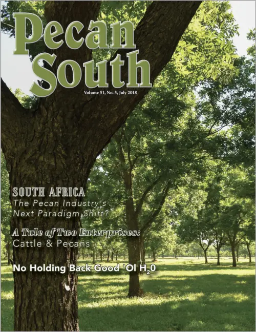 Issue Cover
