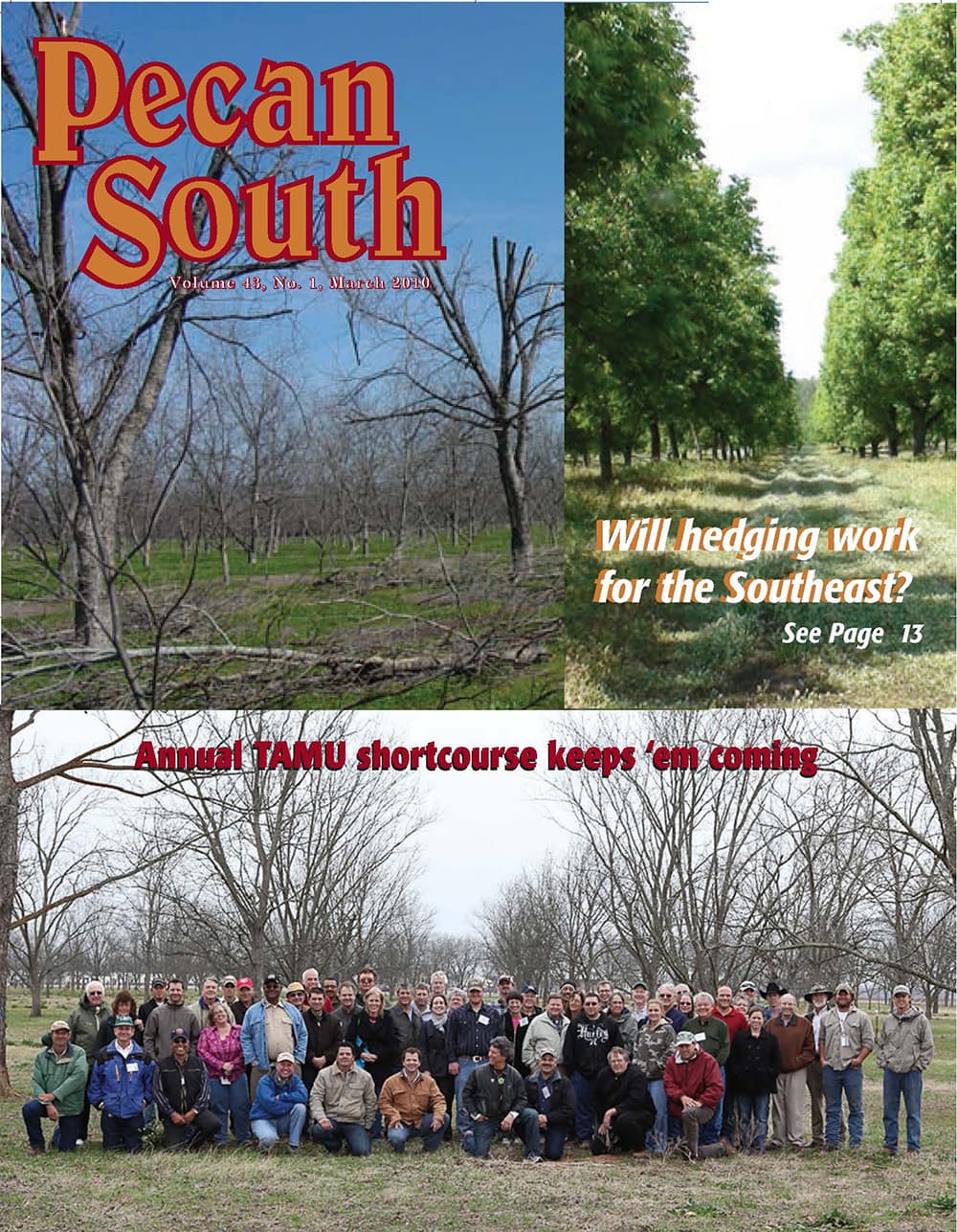 Issue Cover