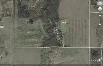 Fig. 1. The orchard used for the study. The location of the Bird Gard is noted in the west fi eld.
