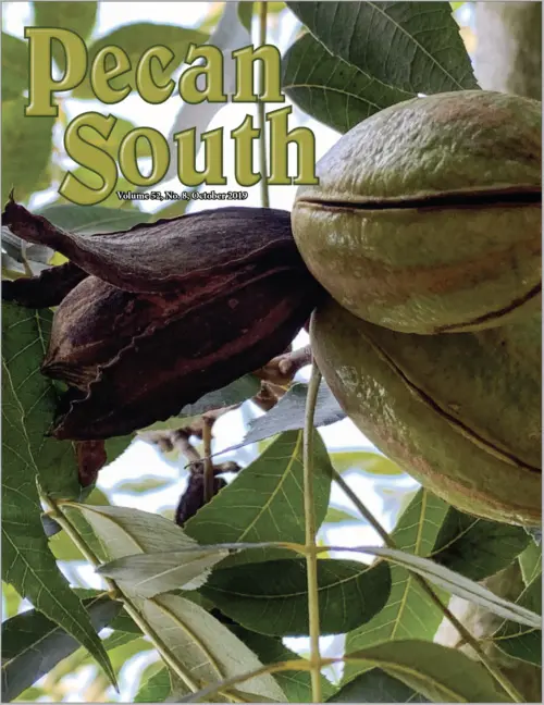 Issue Cover