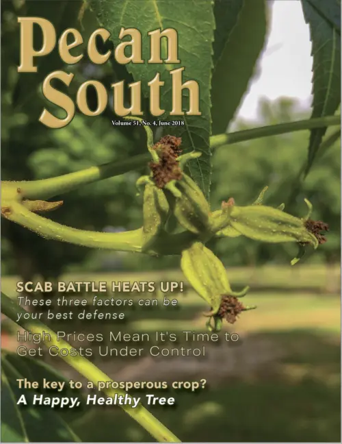 Issue Cover