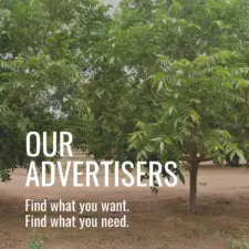 An image to represent Pecan South's Advertisers for this issue.