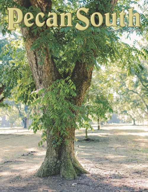 Issue Cover