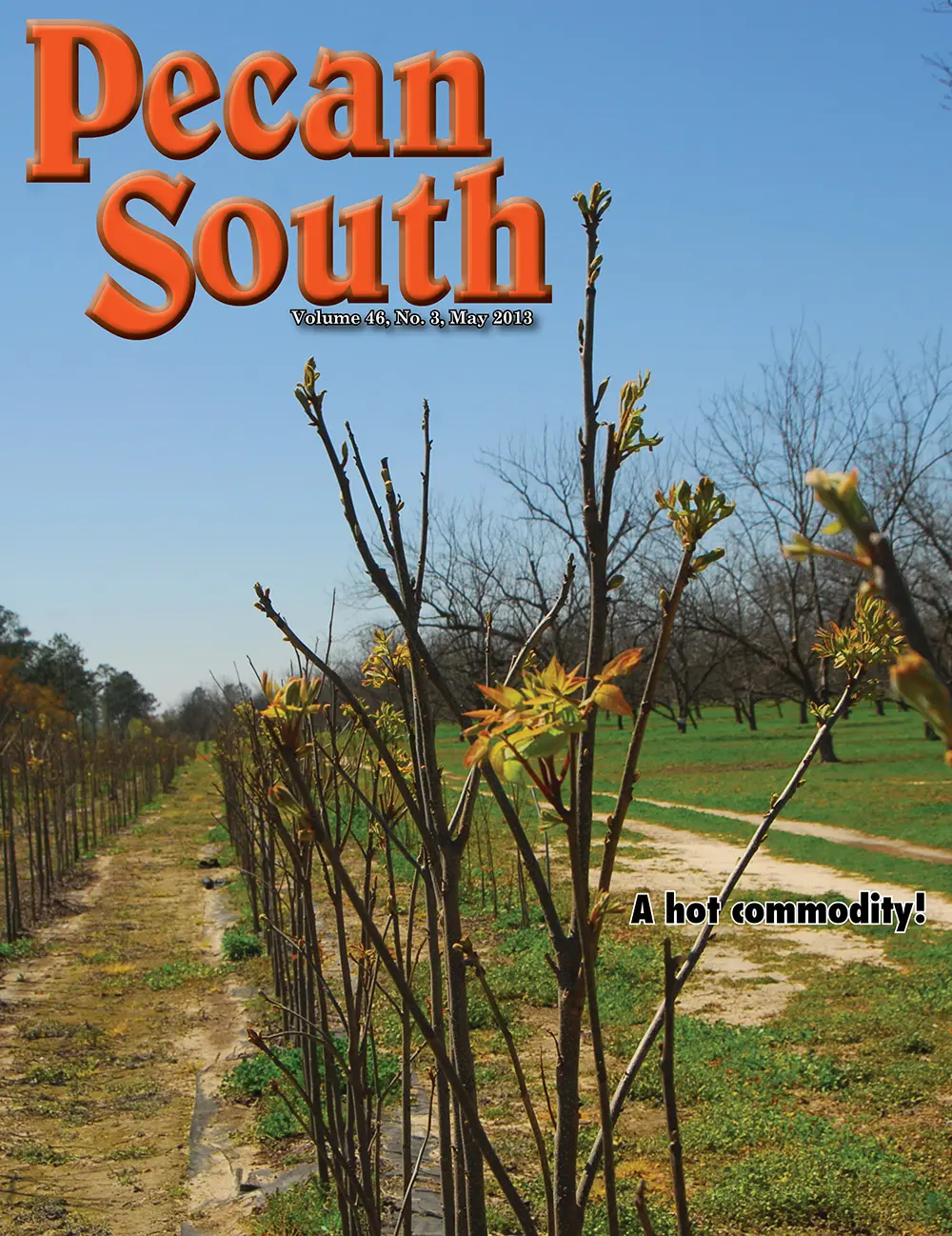Issue Cover