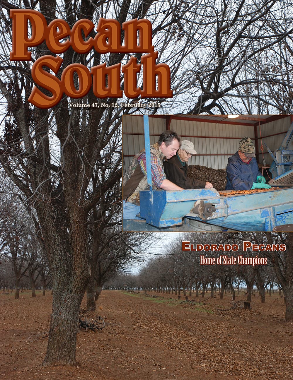 Issue Cover
