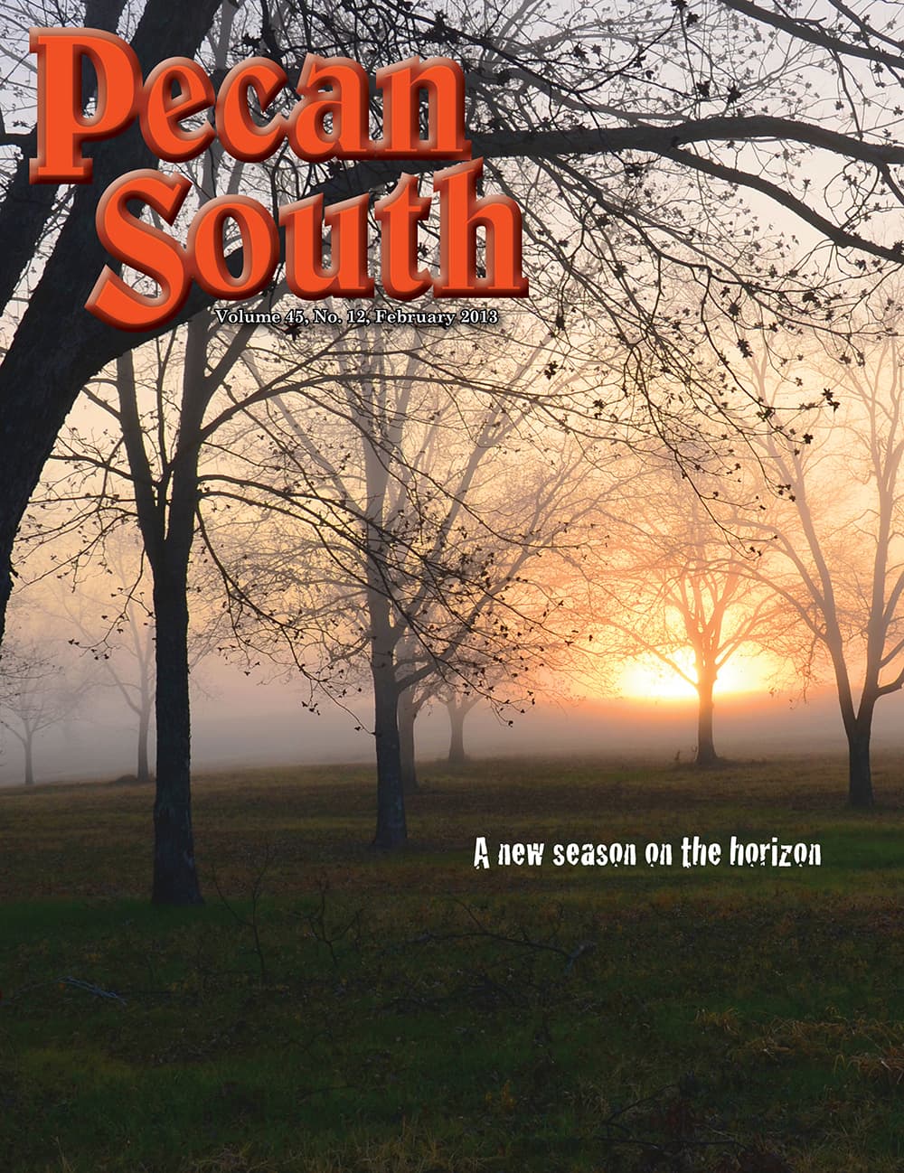 Issue Cover