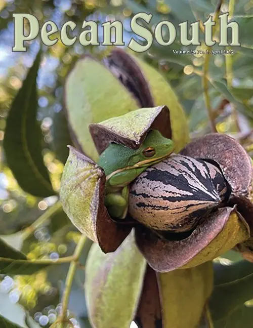 Issue Cover