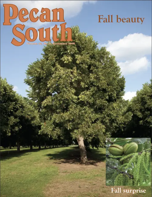 Issue Cover