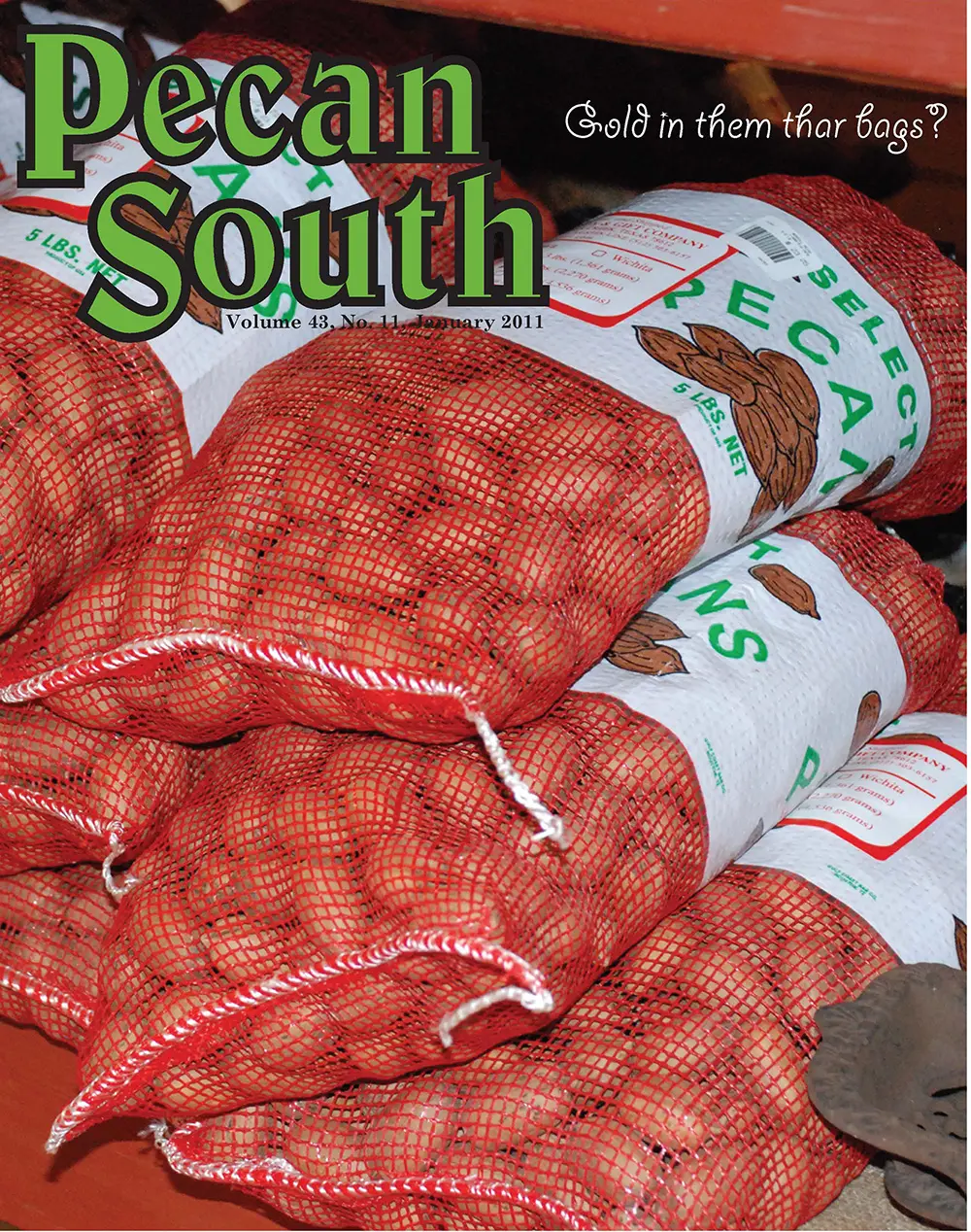 Issue Cover