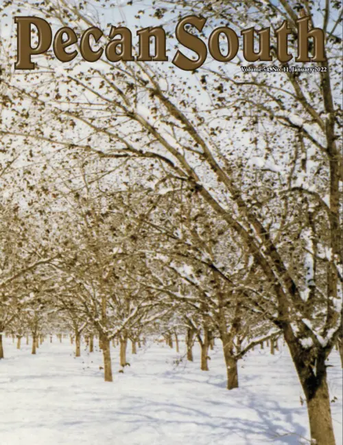 Issue Cover