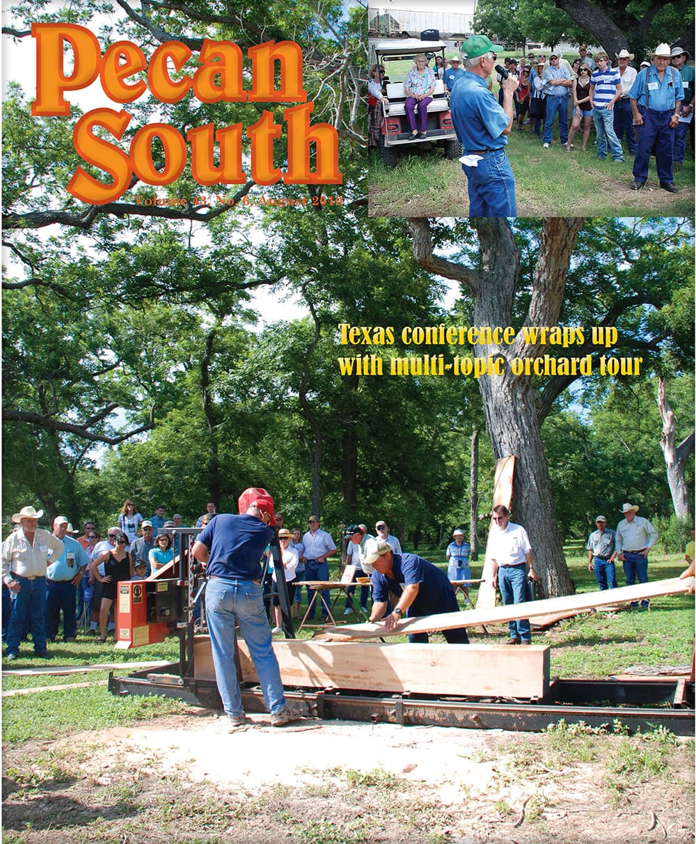 Issue Cover