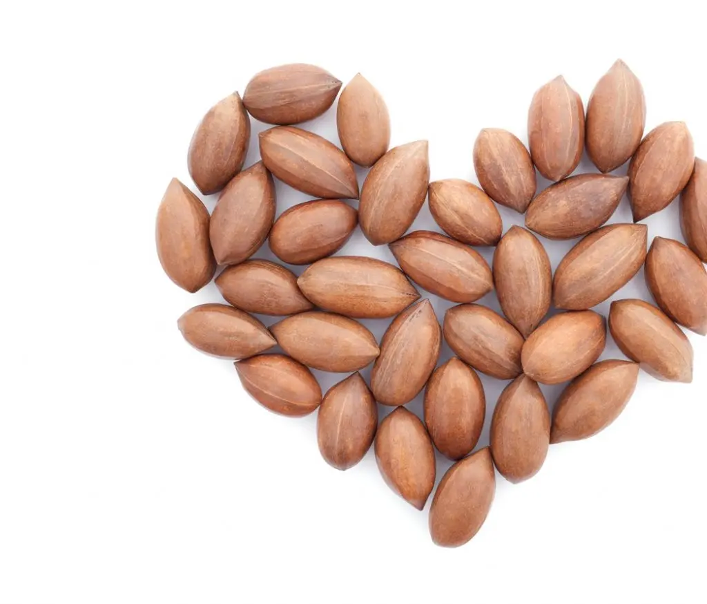 Inshell pecans lined up together to form a heart. American Pecans can be certified with the AHA's heart-check mark to show consumers they are a heart healthy food.