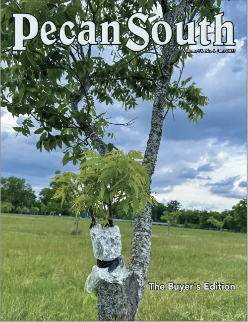 Issue Cover