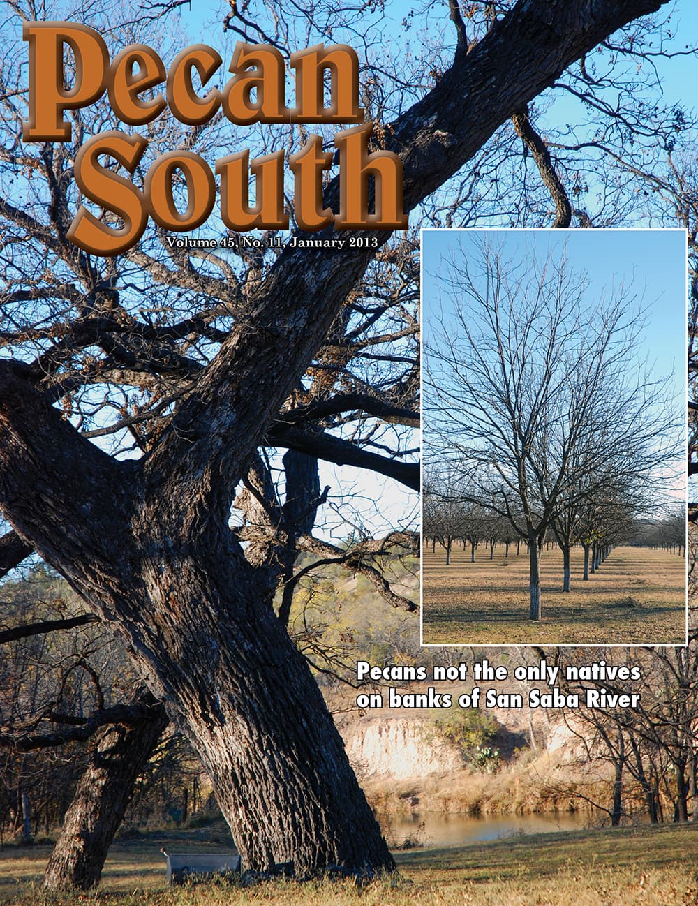 Issue Cover