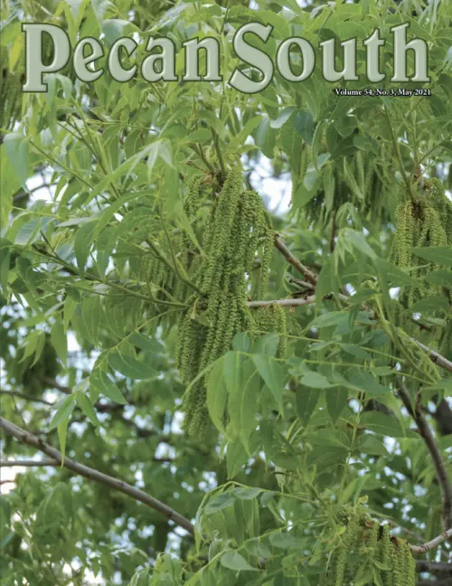 Issue Cover