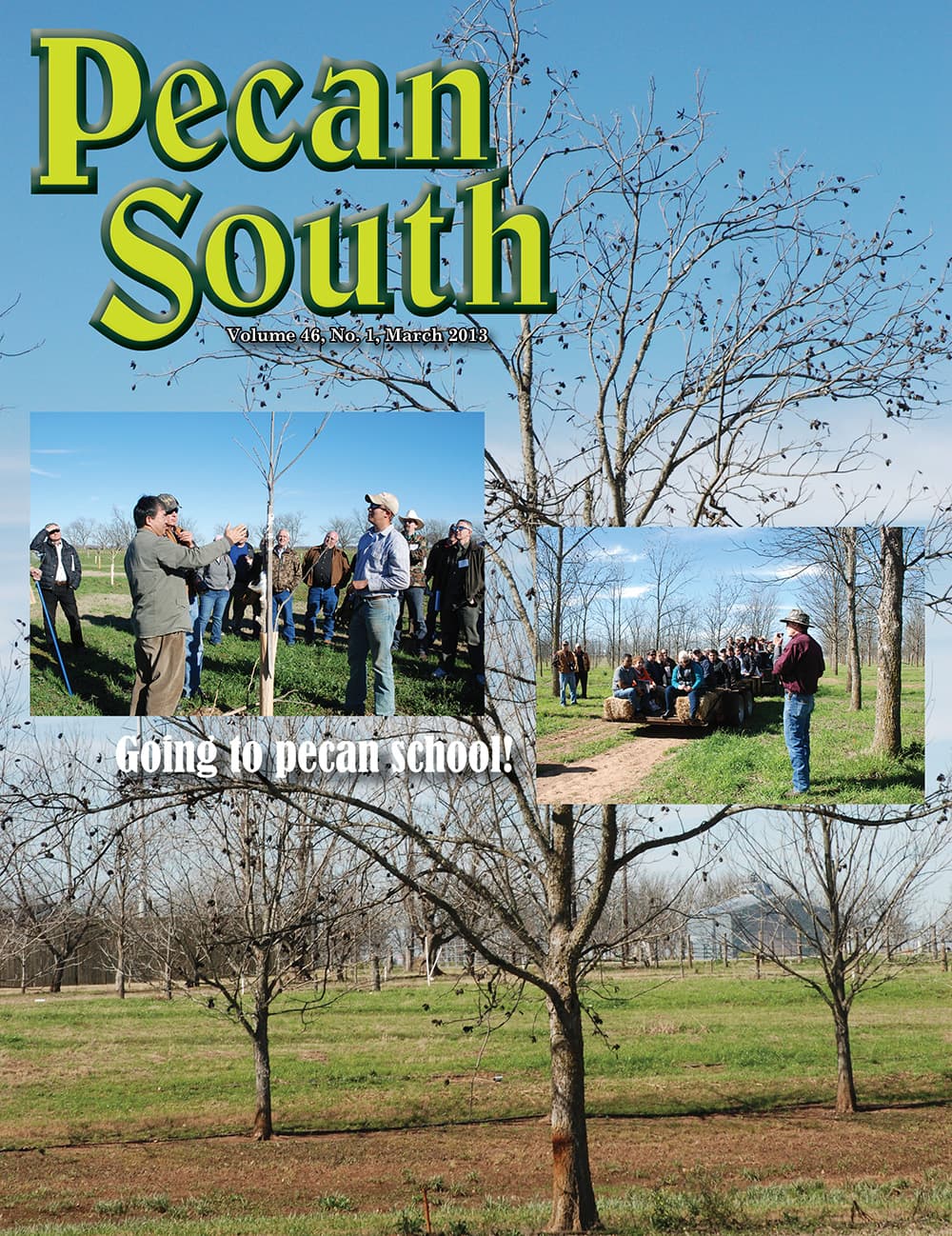 Issue Cover