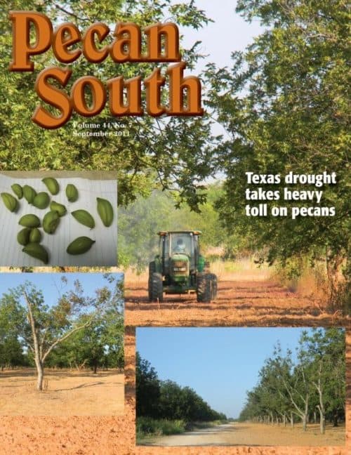 Issue Cover