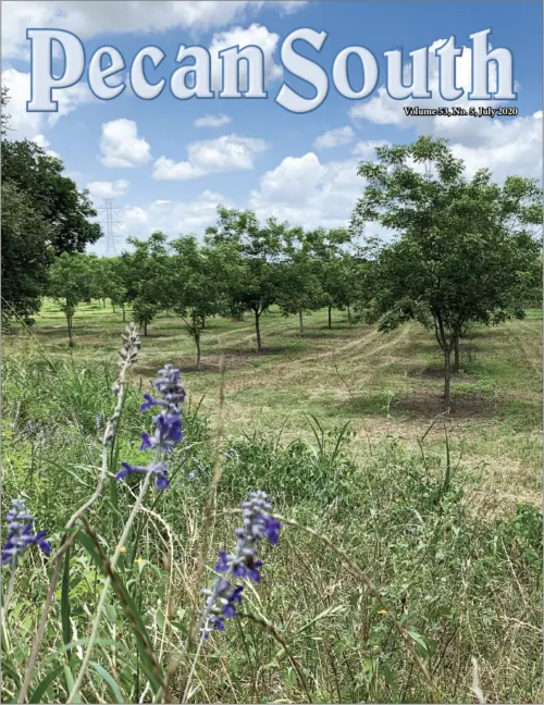 Issue Cover