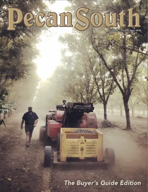 Issue Cover