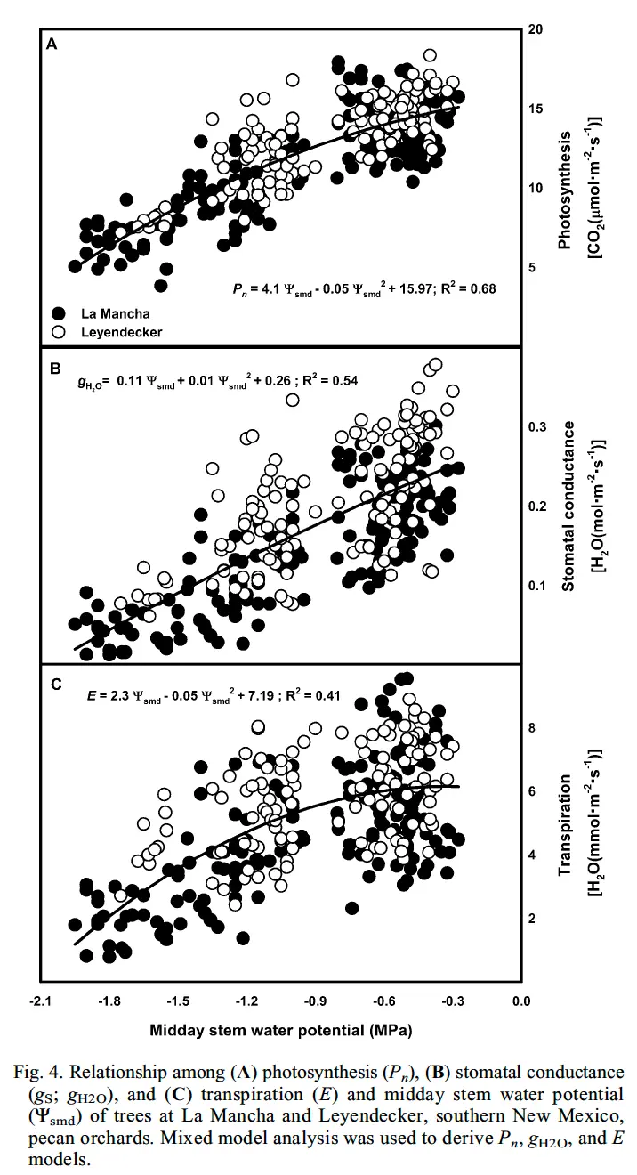 A table that shows photosynthesis declines even when the light levels are high when the stomata are closed.