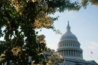 A springtime view of the Capitol building. (Photo by Sara Cottle on Unsplash)