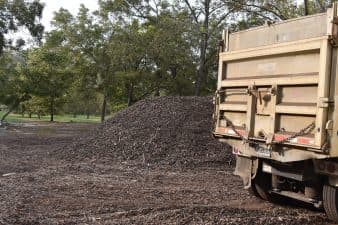A pile of pecans and sticks after a hurricane sits beside a truck and are now inedible.