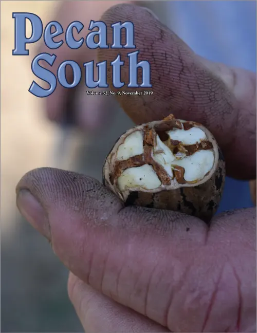 Issue Cover