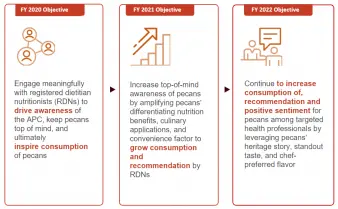 Chart outlining the American Pecan Council's health professional marketing objectives from 2020 to 2022.